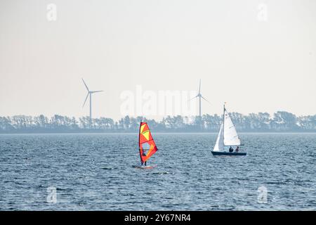 Die Wassersportschule Rügen- Piraten bietet Kurse zum Segeln, Kiten und Windsurfen am Wieker Bodden an. Windsurfer und Segler im Wasser 22.09.2024 Halbinsel Wittow *** die Wassersportschule Rügen Piraten bietet Segel-, Kitesurf- und Windsurfkurse auf Wieker Bodden Windsurfer und Seeleute im Wasser 22 09 2024 Halbinsel Wittow 20240922-DSC 6848 Stockfoto