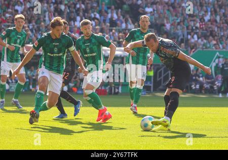 Bremen, Deutschland. September 2024. firo: 21.09.2024, Fußball, 1. Liga, 1. Bundesliga, Saison 2024/2025, SV Werder Bremen SVW - FCB FC Bayern München München München (LR) Niklas stark von Werder und Harry Kane vom FC Bayern München kämpfen um die Duelle Tor Chance Credit: dpa/Alamy Live News Stockfoto