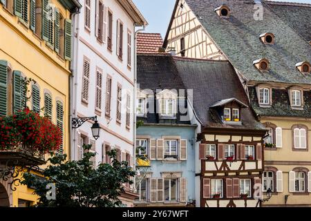 Farbenfrohe Stadthäuser und Fachwerkhäuser in der malerischen Altstadt von Colmar, Elsass, Oberrhein, Grand Est, Frankreich, Europa Stockfoto