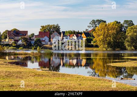 Rogätz, Deutschland 22. September 2024: Im Bild: Die Hochwasserlage der Elbe, überflutete Elbwiese bei Rogätz Sachsen-Anhalt *** Rogätz, Deutschland 22. September 2024 im Bild die Hochwasserlage der Elbe, überflutete Elbwiese bei Rogätz Sachsen-Anhalt Copyright: XFotostandx/xReissx Stockfoto