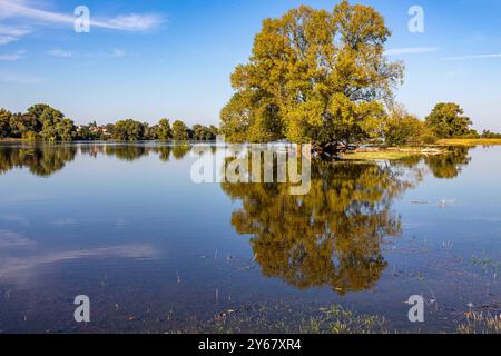 Rogätz, Deutschland 22. September 2024: Im Bild: Die Hochwasserlage der Elbe, Sachsen-Anhalt *** Rogätz, Deutschland 22. September 2024 im Bild die Hochwasserlage der Elbe, Sachsen-Anhalt Copyright: XFotostandx/xReissx Stockfoto