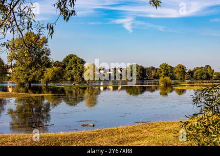 Rogätz, Deutschland 22. September 2024: Im Bild: Die Hochwasserlage der Elbe, überflutete Elbwiese bei Rogätz Sachsen-Anhalt *** Rogätz, Deutschland 22. September 2024 im Bild die Hochwasserlage der Elbe, überflutete Elbwiese bei Rogätz Sachsen-Anhalt Copyright: XFotostandx/xReissx Stockfoto