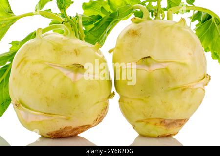 Zwei reife Kohlrabi-Kohl, Makro, isoliert auf weißem Hintergrund. Stockfoto