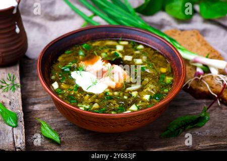 Botvinia, traditionelle russische kalte Suppe. Rustikaler Stil. Selektiver Fokus Stockfoto