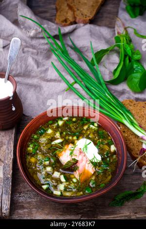 Botvinia, traditionelle russische kalte Suppe. Rustikaler Stil. Selektiver Fokus Stockfoto