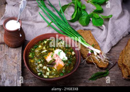 Botvinia, traditionelle russische kalte Suppe. Rustikaler Stil. Selektiver Fokus Stockfoto