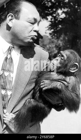 Tony Galento US-Boxer, der einst gegen Joe Louis kämpfte und ihn in der ersten Runde niederschlug, auf dem Bild mit Jacko, einem Schimpansen aus den Zoological Gardens in Phoenix Park, Dublin, Irland, am 7. Juni 1951 Stockfoto