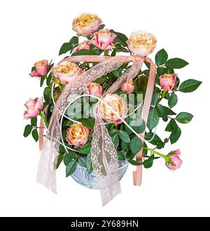 Nahaufnahme isolierter Rosenblüten in einem Pflanztopf Stockfoto
