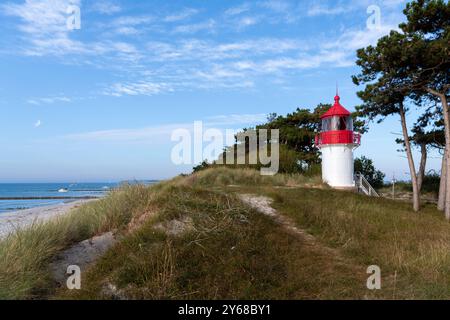 Im Jahre 1905 erbautes Leuchtfeuer/ Leuchtturm Gellen im Süden der Insel Hiddensee in Mecklenburg-Vorpommern, Amt West-Rügen, 12 Meter hoch,Windflüchter Kiefer Leuchtturm Gellen *** im Jahr 1905 erbautes Leuchtturm Gellen im Süden der Insel Hiddensee in Mecklenburg-Vorpommern, Amt West Rügen, 12 Meter hoch,Windflüchter Kiefer Leuchtturm Gellen 20240921-DSC 6814 Stockfoto