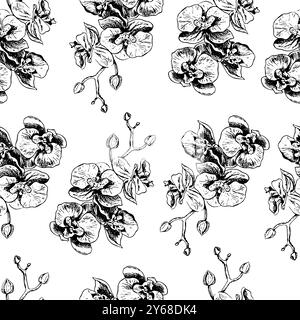 Nahtloses Orchideenmuster. Eine schwarz-weiße Vektorgrafik-Illustration, die von Hand gemacht wurde. Blühende Orchideenzweige auf weißem Hintergrund. Für Pakete, Labor Stock Vektor