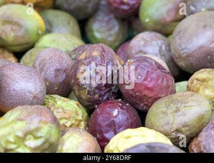 Nahaufnahme eines Haufens Passionsfrucht auf dem Farmer's Market. Die Früchte haben ein saftiges essbares Zentrum, das aus einer großen Anzahl von Samen besteht Stockfoto