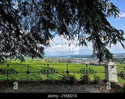 Vom Schloss Johannisberg hat man einen wunderschoenen Blick auf den Rheingau bis hinueber nach Rheinlandpfalz. Von Schloss Johannisberg haben Sie einen gewonnen Stockfoto