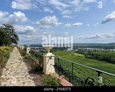 Vom Schloss Johannisberg hat man einen wunderschoenen Blick auf den Rheingau bis hinueber nach Rheinlandpfalz. Von Schloss Johannisberg haben Sie einen gewonnen Stockfoto