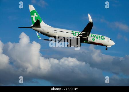 Kommerzielles Passagierflugzeug im Flug gegen einen blauen Himmel mit Wolken Transavia Airlines Flugzeug Boeing 737 Low-Cost Airline No-Schnickschnack Stockfoto