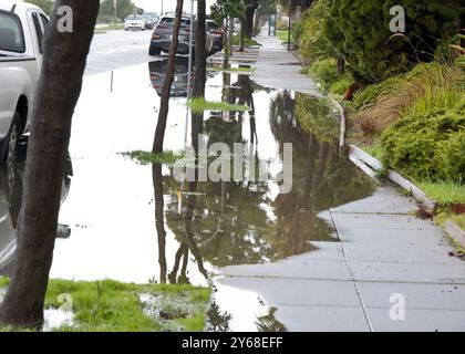 Bürgersteig und Straßenseite mit stehendem Wasser, überflutet nach starkem Regen. Gestörte Wohninfrastruktur. Stockfoto