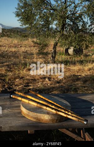 Drei Kaminflöten ruhen auf einer traditionellen Rahmentrommel auf einem rustikalen Holztisch, der in einem friedlichen Olivenhain unter natürlichem Licht steht Stockfoto