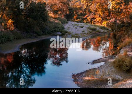 Eine sandige Küste und üppiges Herbstlaub. Die leuchtenden Orange-, Rot- und Gelbtöne sowie ihre Reflexionen im Fluss. Stockfoto