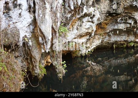 Kalksteinformationen mit zerklüfteten Kanten hängen über einem Wasserbecken in einer Höhle. Reflexionen der Gesteinsmuster sind auf der Wasseroberfläche sichtbar. Stockfoto