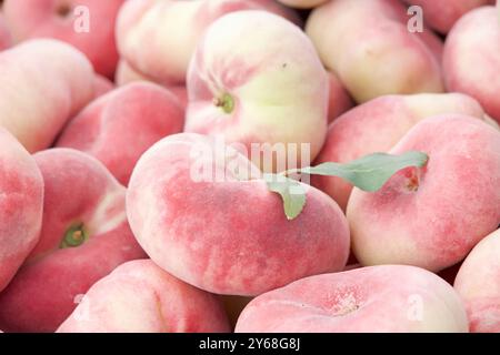 Nahaufnahme eines Haufen frischer süßer Donut Pfirsiche auf dem Bauernmarkt. Blick von oben. Stockfoto