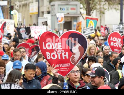 San Francisco, CA - 20. Januar 2024: Tausende von Teilnehmern am jährlichen Marsch for Life, mit Pro-Life-Schildern und Bannern, die die Marktstraße hinunterlaufen Stockfoto