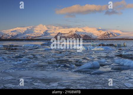 Eisschollen im Meer vor Gletscher und Bergen, Morgenlicht, Joekulsarlon, Vatnajoekull, Island, Europa Stockfoto