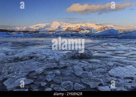 Eisschollen im Meer vor Gletscher und Bergen, Morgenlicht, Joekulsarlon, Vatnajoekull, Island, Europa Stockfoto