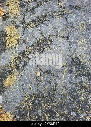 Straßenschäden an der Asphaltoberfläche. Der Asphalt weist mehrere große Risse auf und kleine Teile sind abgeblättert, was auf Verschleiß und Witterungseinflüsse hinweist Stockfoto