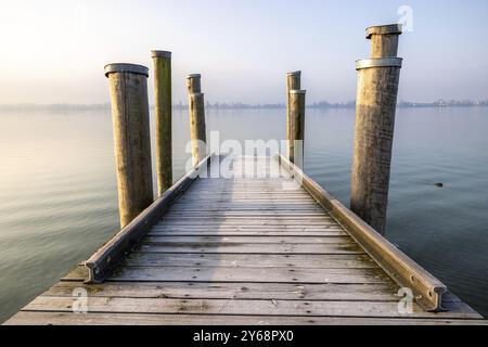 Ein schmaler Holzsteg mit Pfosten ragt in einen nebeligen, ruhigen See, Hafen, Allensbach, Baden-Württemberg, Deutschland, Europa Stockfoto