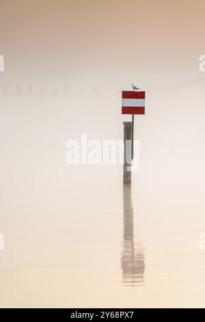 Ruhige Szene eines nebeligen Sees bei Sonnenuntergang mit einem Vogel auf einer Boje, der ruhiges Wasser, Hafen, Moos, Hoeri, Bodensee, Baden-Württemberg, Germa Stockfoto