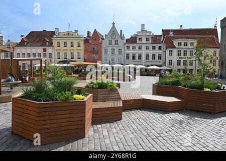 Tallinn, Estland - 24. Juli 2024: Rathausplatz (Raekoda Plats) in Tallinn. Stockfoto