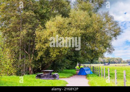 Herbstcamping mit blauem Zelt und Picknicktisch unter Bäumen. Schweden. Stockfoto