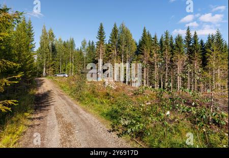 Einsamer Werkzeugschuppen mitten im Wald an einer Forststraße, Finnland Stockfoto