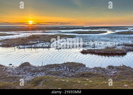 Luftaufnahme über Salzsumpfebenen an der Wattenmeerküste. Uithuizen, Provinz Groningen. Stockfoto