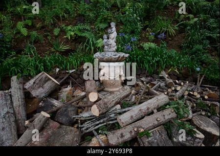 Vergessene Brunnenstatuette umgeben von gehacktem Holz und Grün in den Gärten des monte Palace Stockfoto