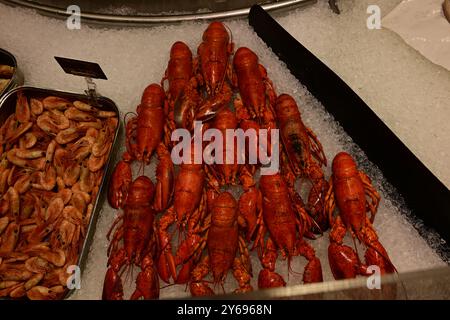 Malmö, Skåne, Schweden. September 2024. In City Gross, einer schwedischen Lebensmittelkette. Die Fischtheke. Stockfoto