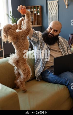 Bärtiger Mann, der auf der Couch mit Laptop sitzt und sich mit einem flauschigen Hund auf Hinterbeinen einlässt. Er zeigt einen Moment des Multitasking und der Begleitung in gemütlicher Wohnzimmeratmosphäre Stockfoto
