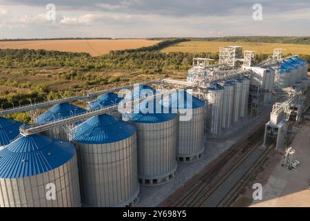 Blick aus der Vogelperspektive auf große Silos mit blauen Dächern in ländlicher Landschaft. Die Silos werden zur Getreidelagerung genutzt, umgeben von Feldern und Bäumen darunter Stockfoto