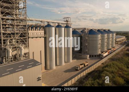 Blick aus der Vogelperspektive auf große Silos mit blauen Dächern in ländlicher Landschaft. Die Silos werden zur Getreidelagerung genutzt, umgeben von Feldern und Bäumen darunter Stockfoto