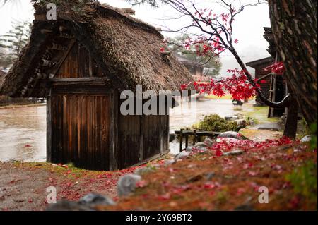 Ein rustikales japanisches Strohdachhaus neben einem leuchtenden roten Ahornbaum an einem regnerischen Tag. Ruhige Herbstszene mit nassen Blättern und ruhiger Atmosphäre. Stockfoto