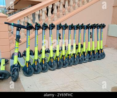 Palma de Mallorca, Spanien; 14. august 2024: Elektroroller eines Vermieters parken auf der Straße im mallorquinischen Ferienort Playa de Palma Stockfoto