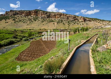 Traditionelle Kulturen, Ifran Nationalpark, Mittlerer Atlas, Marokko, Afrika. Stockfoto