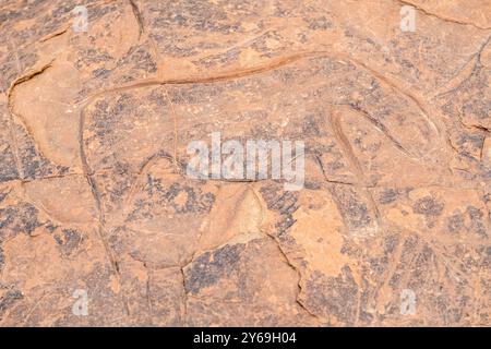 petroglyphe eines Nashorns, Höhlenanlage von Ait Ouazik, spätneolithisch, Marokko, Afrika. Stockfoto