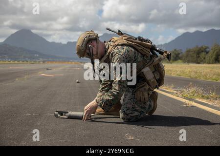 Clinton C. Repsher, Detective Ordnance Disposal Technician, Marine Wing Support Squadron (MWSS) 174, Marine Aircraft Group 24, 1st Marine Aircraft Wing inspiziert Schäden an Geschützen während der Übung Gryphon Rumble II auf der Marine Corps Air Station Kaneohe Bay, Hawaii, 23. September 2024. Marines mit MWSS-174 führten Gryphon Rumble II aus, um die Fähigkeit zu demonstrieren, taktische Kommunikationsarchitektur in der Inselkette Hawaiias zu planen, zu installieren, zu betreiben, zu warten und zu sichern. (Foto des U.S. Marine Corps von CPL. Joseph Abreu) Stockfoto