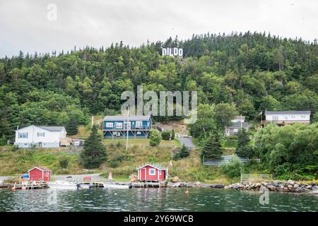 Dildo-Stadtschild im Hollywood-Stil, das in Neufundland & Labrador, Kanada, sichtbar ist Stockfoto