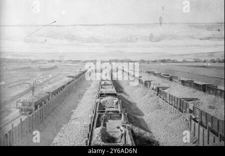 Entladung von Zuckerrüben von Eisenbahnwaggons, Loveland, Colorado, Foto möglicherweise während der Eröffnungssaison im Herbst 1901 der Great Western Sugar Company Raffinerie in Loveland, Colorado, zwischen ca. 1901 und ca. 1915, Glasnegative, 1 negativ: Glas; 5 x 7 Zoll Oder kleiner. Stockfoto