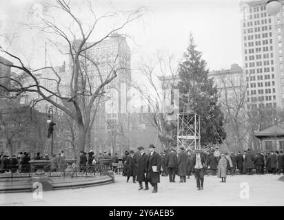 Weihnachtsbaum in Madison Square. Park, N.Y.C., zwischen ca. 1910 und ca. 1915, Weihnachten, N.Y.C, Glasnegative, 1 negativ: Glas; 5 x 7 Zoll Oder kleiner. Stockfoto