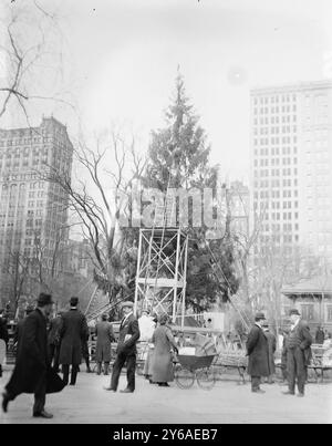 Weihnachtsbaum in Madison Square. Park, N.Y.C., zwischen ca. 1910 und ca. 1915, N.Y.C, Glasnegative, 1 negativ: Glas; 5 x 7 Zoll Oder kleiner. Stockfoto