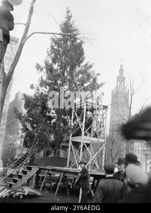 Weihnachtsbaum in Madison Square, N.Y.C., zwischen ca. 1910 und ca. 1915, Weihnachten, N.Y.C, Glasnegative, 1 negativ: Glas; 5 x 7 Zoll Oder kleiner. Stockfoto