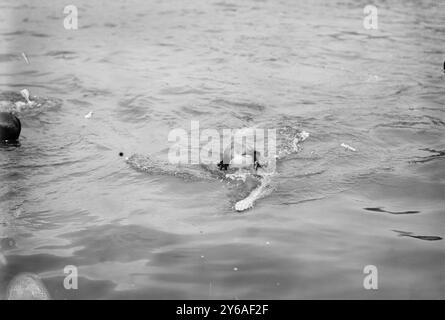 May E. Miller - Trungeon, Trudgeon Stroke, Foto zeigt Mary Elizabeth Miller, ein vierzehnjähriges Mädchen, das 1915 über den Hudson River schwamm. Sie macht den Trudgeon-Schlaganfall. Zwischen ca. 1910 und ca. 1915, Glasnegative, 1 negativ: Glas; 5 x 7 Zoll. Oder kleiner. Stockfoto