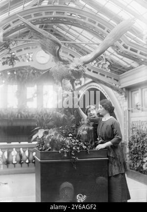 Helen Keller, Foto zeigt Helen Keller (1880–1968) mit ihrer Lehrerin Anne Sullivan Macy (1866–1936) möglicherweise auf der International Flower Show, New York City, April 1913., 1913 April, Glass negative, 1 negativ: Glas; 5 x 7 Zoll Oder kleiner. Stockfoto